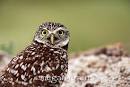 The World& #39;s
 Best Photos o ...