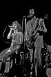 The Who Picture 1
