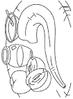 Rosh Hashanah coloring page