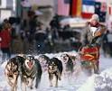 Iditarod Image Gallery