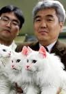 pet and have Fluffy 2.0?