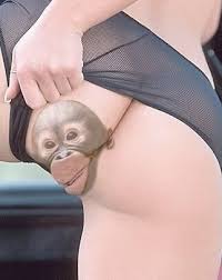 images?q=tbn:ANd9GcTo3k7QtfIqj3WitEzVoMEVyJHKaO7OiPeA0quj439qPNfEQ6dl