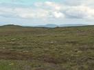There are a few sheep and some deer around, but the terrain is pretty wild. - via Daymix