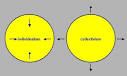 Individualism versus Collectivism / individualism 21st century ...