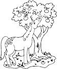 Equestrian coloring page