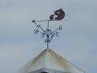 Perched on top of TL8820 - via Daymix
