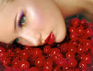 www.hamtaraneh.com