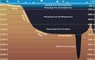 Bathypelagic zone