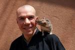 A baby giant African pouch rat