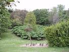 sheltered by trees, it grows many plants from the southern hemisphere. - via Daymix