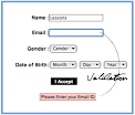 Some Javascript Tips - Form Validation, Toggle Messages