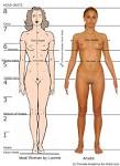 Human Anatomy - Gamefreakz