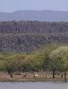 East Africa's Great Rift Valley: A Complex Rift System
