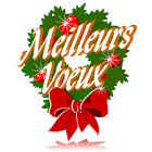 nos voeux