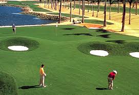 Golf Course Resorts