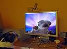 Marriage from online meetings is more stable, satisfying | Ars