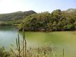 250px-Chacachacare_dry_forest_ ...