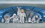 Super Bowl Commercials Starring Babies and Kids | POPSUGAR Moms