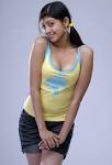 Hot Photos Blog's: Pranitha Hot Cleavage Photo Shoot Gallery (High