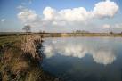 SK9691 : Irrigation Pond - via Daymix