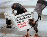 http://t3.gstatic.com/images?q=tbn:ANd9GcTq_4WZ7RF3PDQ-Rro6_yUaZQHngIQsrjnTfV9pNBnnlo5wJ6Qo2g