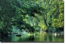 The river is the definitive