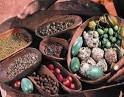 Bush Tucker | CAAMA