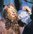 The Wonderful Wizard of Oz Website