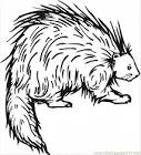 Porcupine coloring page