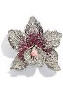 Momist : Luxury Guide: Chopard diamond broach