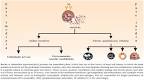 late phase reaction : KMLE yihag geomsaeg enjin - yihagsajeon, yihagyongeo ... 