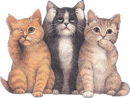 Twitter...no lo vas a poder creer!!!! Con direcciones!!