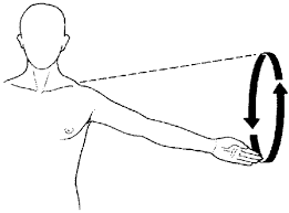 Circumduction