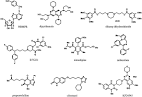 ScienceDirect.com - European Journal of Pharmacology - Adenosine ...