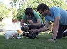 I Love Local Commercials | Underwire | Wired.