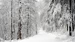 Fonds d��cran NEIGE : tous les wallpapers NEIGE
