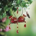 Hummingbird Feeder Tips