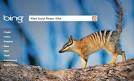 Bing Turns to Facebook for New Social Search Results Webmonkey