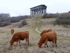 More sizes. Penshaw Monument. Penshaw Monument (officially The Earl of - via Daymix