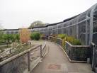 Including macaws, cockatoos, amazons, african greys and cockatiels. - via Daymix