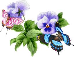 http://t3.gstatic.com/images?q=tbn:ANd9GcTt9LNYpCtY_yrqdduPLYBNsNtVRqAN3omWtp8L_tEVZgQCNpV2Pyr6fb0Myw