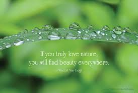 Image result for nature quotes