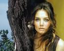 Katie Holmes Short Pixie