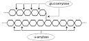 Bioprocess Engineering - Wageningen UR - Wageningen University