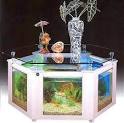 Aquarium furniture   Funny Photos