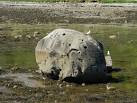 Relic of the Ice Age - Sound - via Daymix