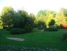 Trees in Lake Pleasure Gardens - via Daymix
