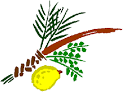 Sukkot