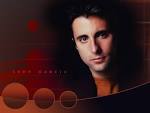 Andy Garcia Wallpaper | Celebrity Actress Top