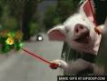 Geico pig Animated GIF | GIFs - GIFSoup.